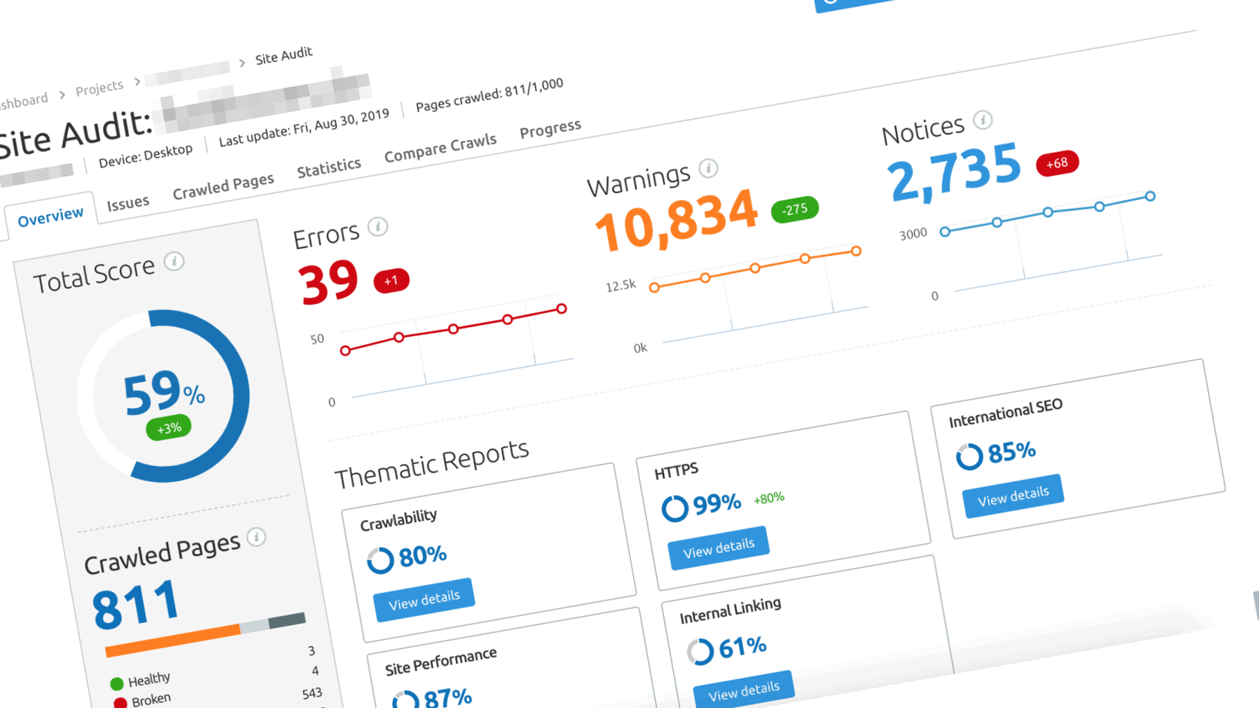 Software or manual site audit